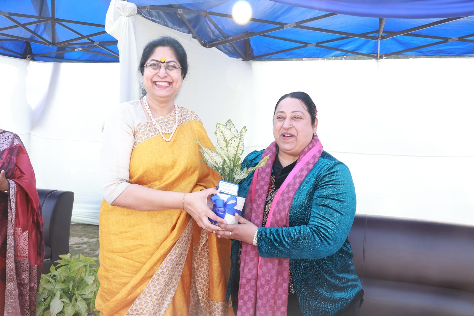 Primary Wing Annual Sports Day - Whistles, Wings and Winning Streaks! 